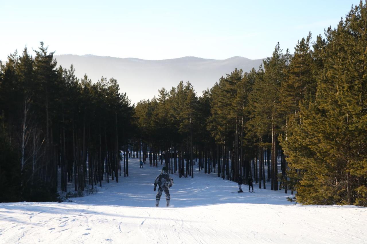 Orman Ski Shchuchinskiy Extérieur photo